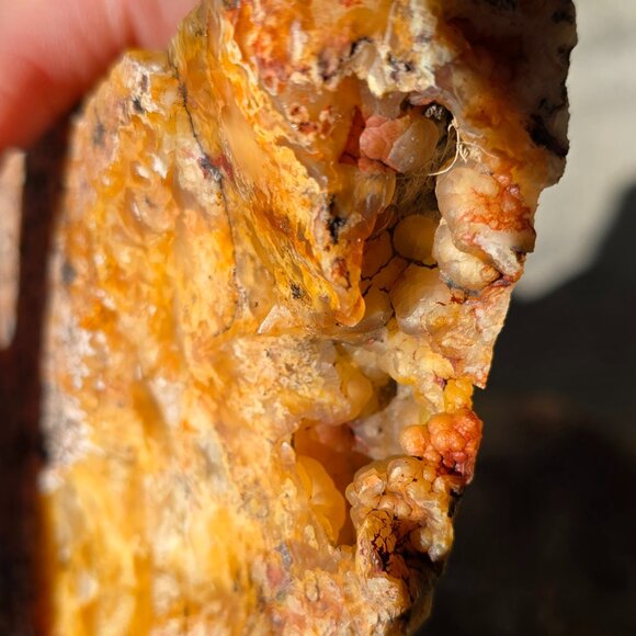 Beautiful Graveyard point Plume Agate - Picture 7 of 8